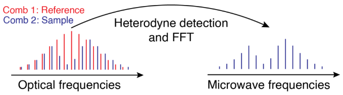 单腔双光梳激光器光谱学应用