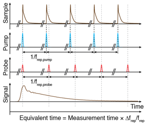 单腔双光梳激光器用于ASOPS异步光学采样泵浦-探测应用